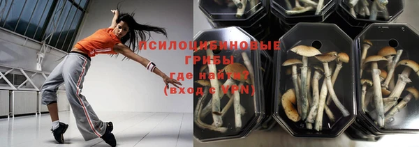 a pvp Белокуриха