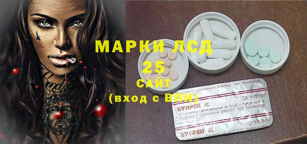 PSILOCYBIN Беломорск