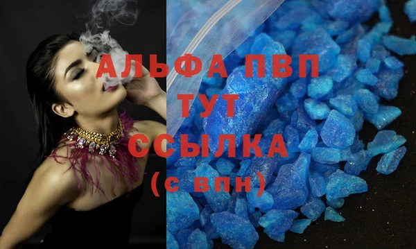 PSILOCYBIN Беломорск