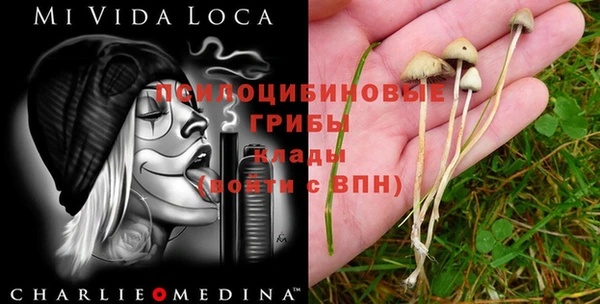 a pvp Белокуриха
