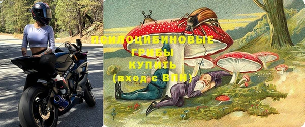 a pvp Белокуриха